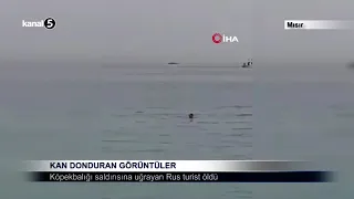 Kan Donduran Görüntüler / Köpekbalığı Saldırısına Uğrayan Rus turist Öldü