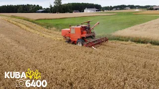 🔥Żniwa na Polskiej Wsi🔥Żniwa pszenżyta 2022🔥Bizon w akcji🔥John Deere &Zetor🔥