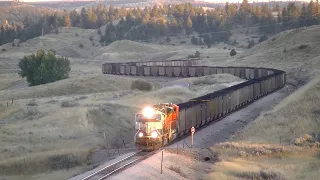 BNSF Coal Train on the Sarpy Line, Montana