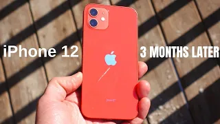 iPhone 12 - 3 Months Later!