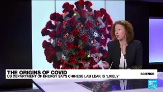 US Energy Department reportedly says Chinese lab leak 'likely' triggered Covid • FRANCE 24 English