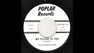 The Enchantones - My Picture of You 1962