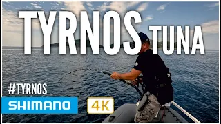 Bluefin Tuna & Shimano Tyrnos STP - @pomatomus1983