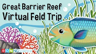 Great Barrier Reef – Virtual Feld Trip