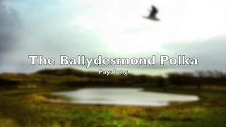 The Ballydesmond Polka - Irish Folk play along + music sheet