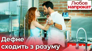 Дефне сходить з розуму - Любов напрокат | Kiralık Aşk