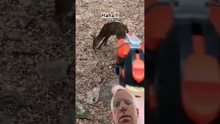 Shooting a Deer with a Nerf Gun #hunting #deerhunting