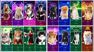 ALL Cute Cat vs Dog 1 Hour MEGAMIX Jisoo Flower Lisa Money Fifty Fifty Cupid Imagine Dragon Believer