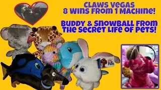 Claw Wins- 8 Prizes!  Gamer Green & "The Secret Life of Pets"- Buddy & Snowball!