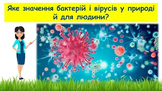 Яке значення бактерій і вірусів у природі й для людини // Пізнаємо природу 5 клас НУШ