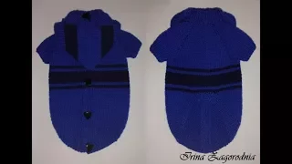 We knit doggies-detailed master class. Knitted jacket for dogs.