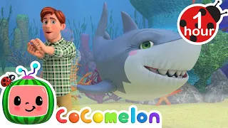 Baby Shark | @CoComelon | Moonbug Kids - Nursery Rhymes for Babies