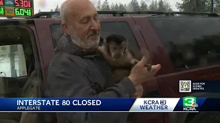 Man with monkey navigates snowstorm road conditions