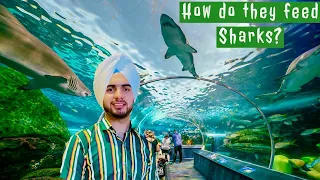 Ripley's Aquarium of Canada with 450 Species and 13500 fish |Episode-2 Toronto series|