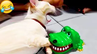 Funniest Animals 2024 😂 New Funny Cats and Dogs Videos 😻🐶 Part 3