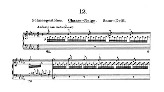 F. Liszt - Transcendental Étude Op. 1 no. 12 in B flat minor "Chasse-neige"