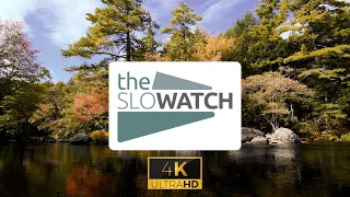 Introducing The SloWatch