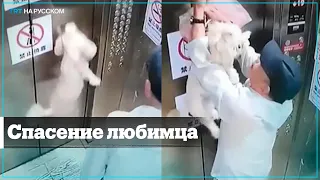 Мужчина спас собаку, застрявшую в дверях лифта