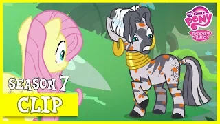 Zecora Gets The Swamp Fever (A Health of Information) | MLP: FiM [HD]