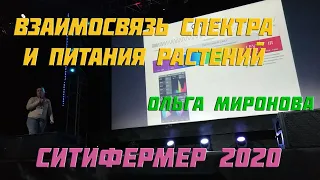 Взаимосвязь спектра и питания растений - Ситифермер 2020, Ольга Миронова