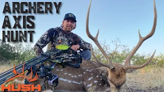 ARCHERY HUNTING AXIS DEER OVER A WATER HOLE!