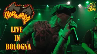 ▲Guana Batz - Live at Locomotive Club (March 2024)