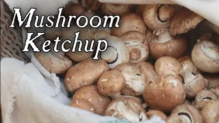 Making Mushroom Ketchup - 18th Century Cooking