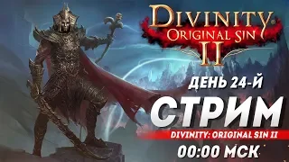 Divinity Original Sin 2. Максим Копылов и Ко. приключения продолжаются День 24-й.