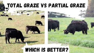 Total vs Partial Grazing: Which is better for Rotational Grazing?