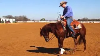 Fundamentals to Reining by Fred Thomsson
