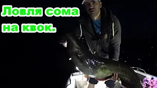 Рыбалка на квок 2021. сом на эхолоте Lowrance Elite 9Ti2.