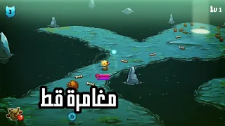 مملكة القطط