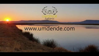 Bird Hunting and Wing Shooting in South Africa August 2019