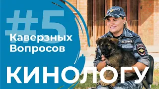 5 каверзных вопросов КИНОЛОГУ