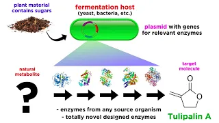 Synthetic Biology and Materials Science Part 2: Nature-Made Plastics