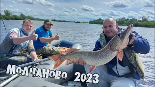 Рыбалка в Молчаново 2023