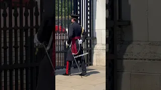 Let’s Fix Everything Before We See The King. Epic Moments Horse Guards