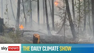 Siberia on fire after hottest June for 133 years