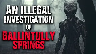 An Illegal Investigation of Ballintully Springs