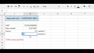 Afla data nasterii/varsta in EXCEL/Google Sheets pe baza CNP-ului