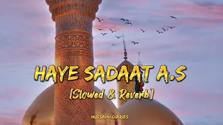 Haye Sadaat A.S | Slowed & Reverb | Ali Shanawar | Hussaini Diaries