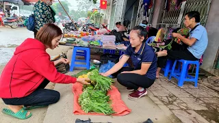 Jungle Vegetable Harvesting & Forest Fruit goes to the market sell | Ly Thi Tam