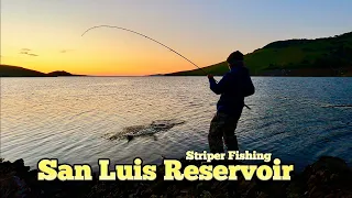 Striper Fishing At San Luis Reservoir