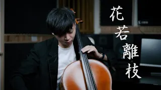 《花若離枝》蘇芮 Cello cover 大提琴版本 『cover by YoYo Cello』【台語懷舊系列】