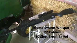 Test Firing the Gamo Swarm Whisper 22 caliber.