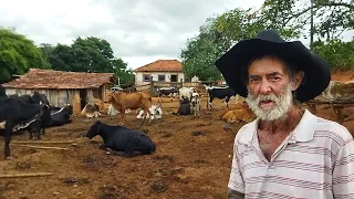 TOE CELSO  ENGRAÇADO DE MAIS, A HISTORIA DO HOMEM DA ROÇA, NUM LUGAR  LINDO CASADO Á 84 ANOS AGORA