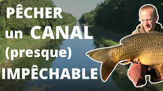 Pêcher un CANAL envahi d'HERBIERS / Comment attraper facilement des carpes dans les herbiers ?
