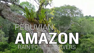 🇵🇪 Iquitos, Peru. Amazon rainforest and Amazon river.