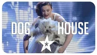 Best of Got Talent Dog performance/auditions from around the world #HD