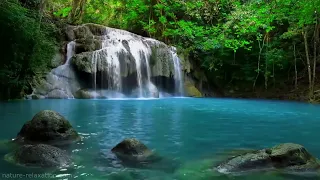 Звуки Водопада,Джунглей, Расслабляющий Тропический Лес Звуки Природы